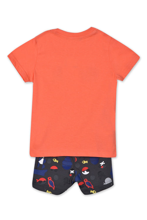 Baby t-shirt and shorts set for boys